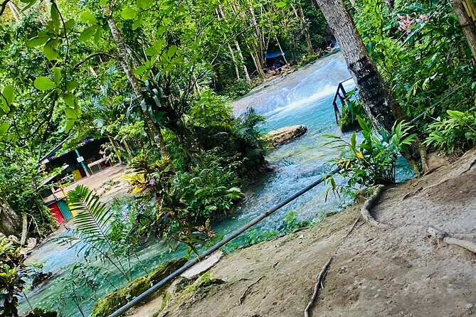 Private Horse Back Riding and Blue hole from Montegobay - Who is This Tour Best Suited For?