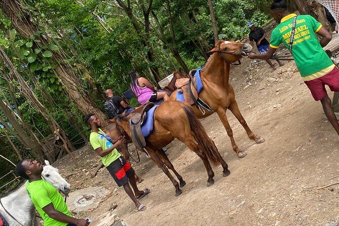 Private Horse Back Riding and Blue hole from Montegobay - Final Thoughts