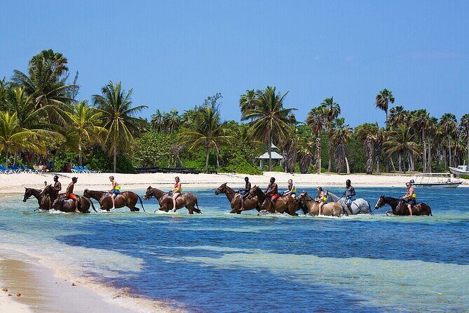 Private Horse Back Riding And Dunns' River Falls From Montego bay - A Unique Blend of Nature and Adventure: Private Horseback Riding and Dunns River Falls from Montego Bay