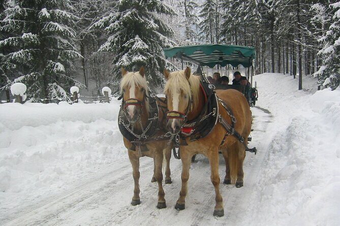 Private Horse-Drawn Sleigh Ride from Salzburg - A Deep Dive into the Salzburg Horse-Drawn Sleigh Ride Experience