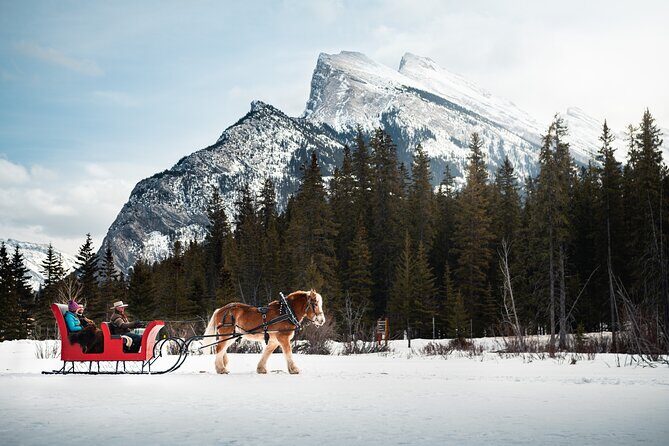 Private Horse-Drawn Sleigh Ride In Banff - In-Depth Look at the Private Horse-Drawn Sleigh Ride in Banff