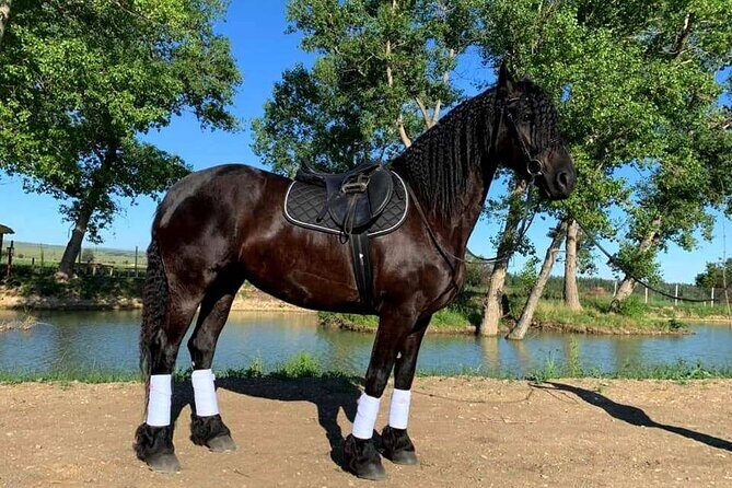 Private Horse Ridding tour - Key Points