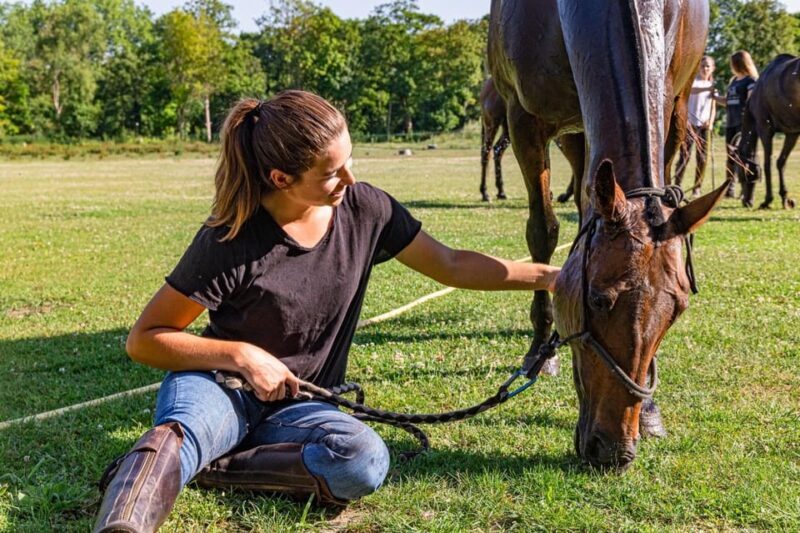 Private Horse Ride experience - Key Points