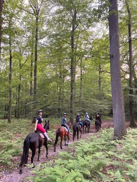 Private Horse Ride experience - What Makes This Ride Stand Out?