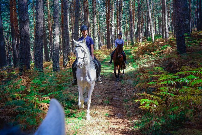 Private Horse Ride in Madrid natural park reserve - Who Should Consider This Tour?