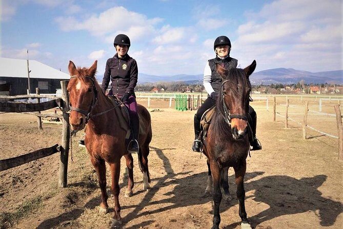 Private Horse Riding near Budapest with transport - An Authentic Escape into Nature with a Personal Touch