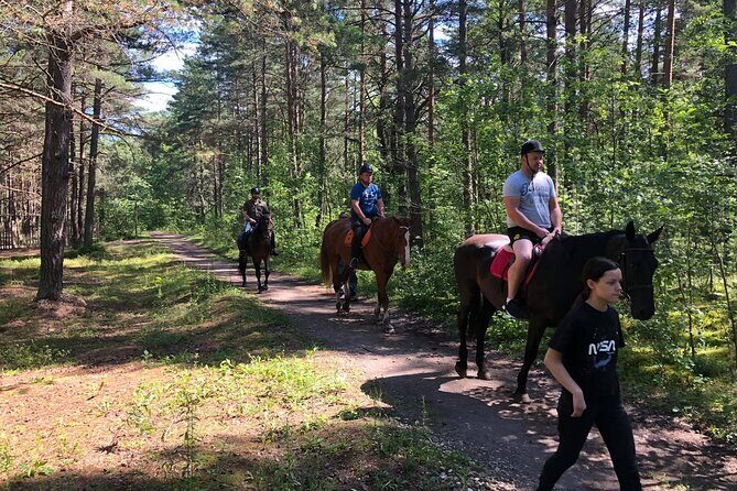 Private Horse Riding on the Beach in Riga - A Close Look at the Riga Beachside Horseback Ride
