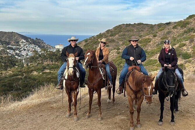 Private Horse Trail and Canyon Ride on Catalina Island - A Scenic Ride Above Avalon: Private Horseback and Canyon Adventure on Catalina Island