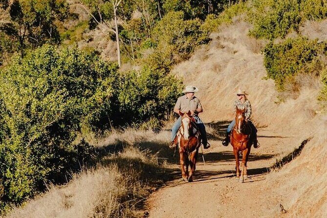 Private Horse Trail and Canyon Ride on Catalina Island - Practical Details and Tips
