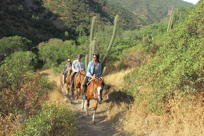 Private Horseback Adventure in the Andes, with Picnic & Wine - Discover the Beauty of the Andes on a Private Horseback Ride from Santiago