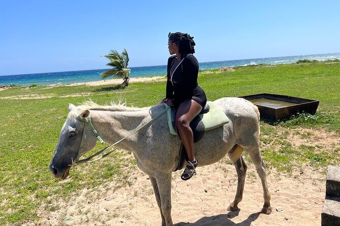 Private Horseback Ride and Swim from Montego Bay - A Closer Look at the Tour Itinerary