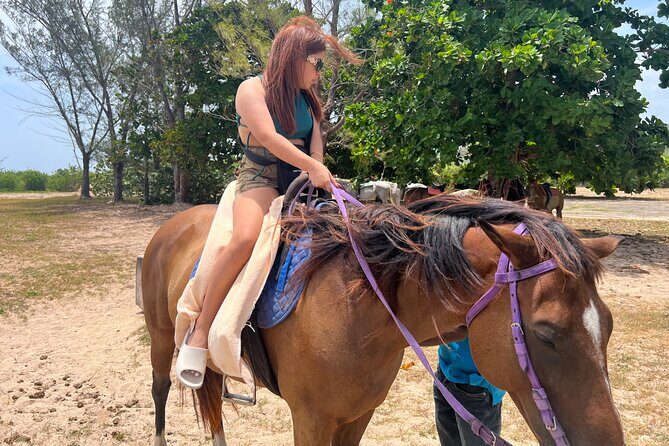 Private Horseback Ride and Swim from Montego Bay - Who Should Consider This Tour?