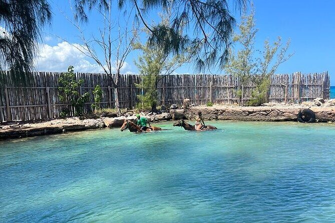 Private Horseback ride and swim in Montego Bay - The Sum Up