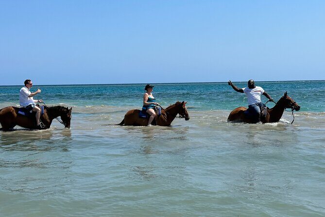 Private Horseback Riding And Ricks Cafe Tour. - In-depth Look at the Tour Experience