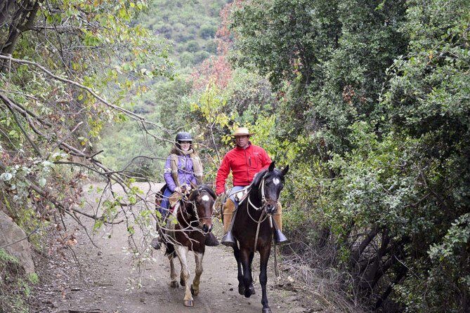 Private Horseback riding and wines from Santiago - Who Should Consider This Tour?