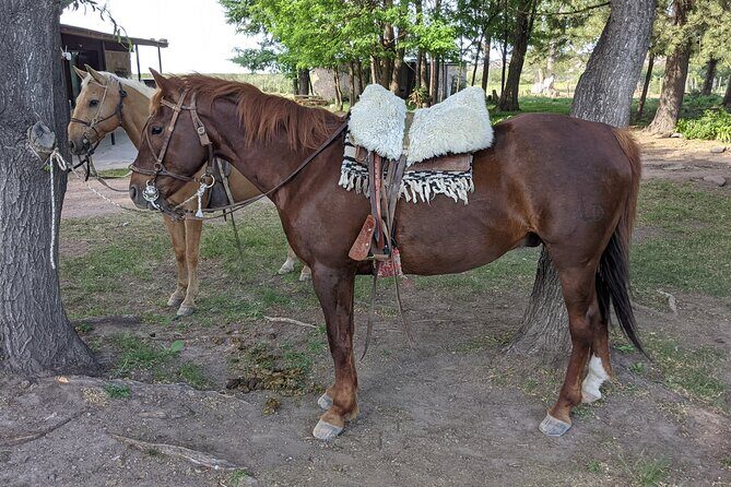 Private Horseback Riding at the foot of The Andes - FAQ