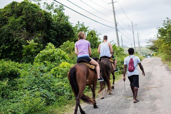 Private Horseback Riding from Ocho Rios with Guide - Authentic Jamaican Moments and Practical Details