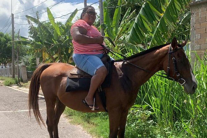 Private Horseback Riding from Ocho Rios with Guide - Review Highlights from Past Travelers