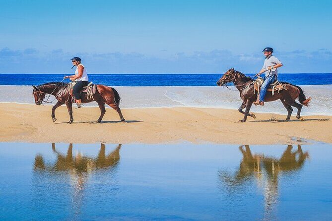 Private Horseback Riding in Cabo San Lucas - Practical Tips for Your Horseback Riding Adventure