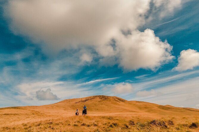 Private Horseback Riding on Easter Island - A Deep Dive into the Experience