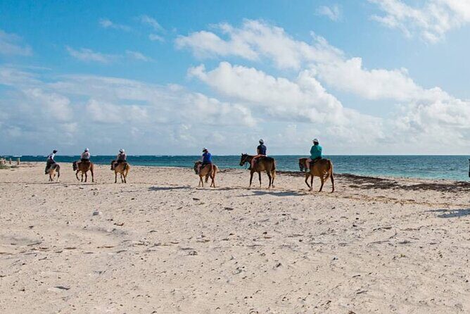 Private Horseback Riding On The Beach - Private Horseback Riding On The Beach: A Genuine Costa Rican Experience