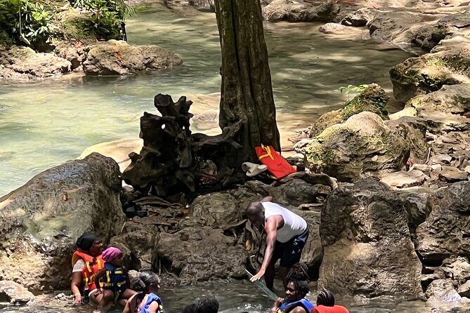 Private Horseback Riding, Swim & Blue Hole Secret Falls - What the Reviews Say