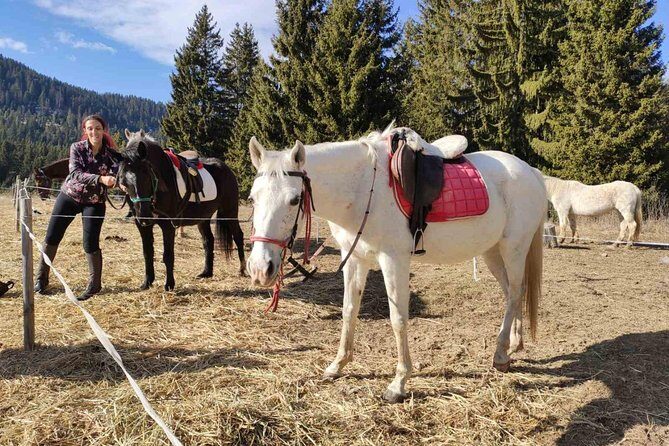 Private Horseback Riding the Rila Range - In-Depth Look at This Unique Bulgarian Horseback Adventure