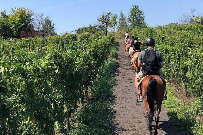 Private Horseback Riding Tour of the Vineyards in Verona with Wine Tasting - Who Is This Tour Best For?