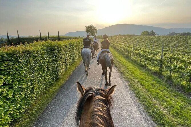 Private Horseback Riding Tour of the Vineyards in Verona with Wine Tasting - Authentic Experiences and Practical Tips