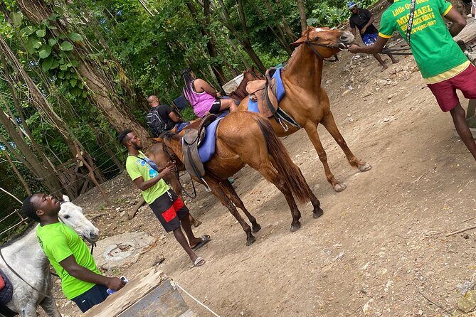 Private Horseback Riding with Blue Hole River Tour in Montego Bay - What’s Included and What’s Not