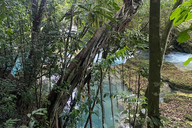 Private Horseback Riding with Blue Hole River Tour in Montego Bay - Authenticity and the Value Proposition