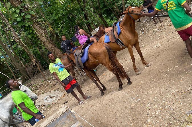 Private Horseback Riding with Blue Hole River Tour in Montego Bay - Who This Tour Is Best For