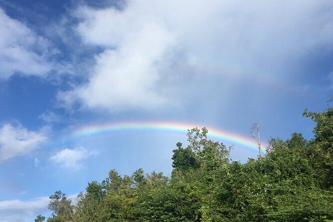 Private Hotel and Resorts Transfers - Authentic Traveler Feedback and Insights