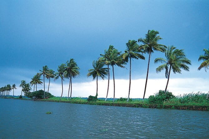 Private Houseboat Backwater Day Cruise tour with Lunch from Cochin - Why This Tour Works Well