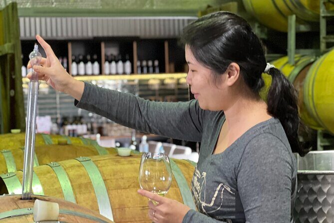 Private Hunter Valley Luxury Tour From Sydney - Final Thoughts: Is This Tour Right for You?