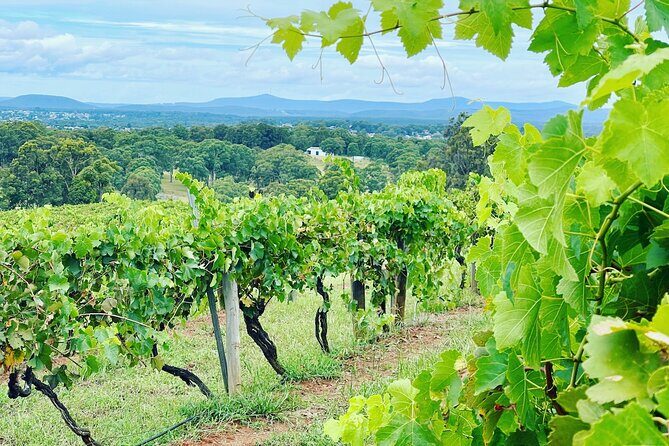 Private Hunter Valley Wine Tasting Tour from Sydney - The Sum Up