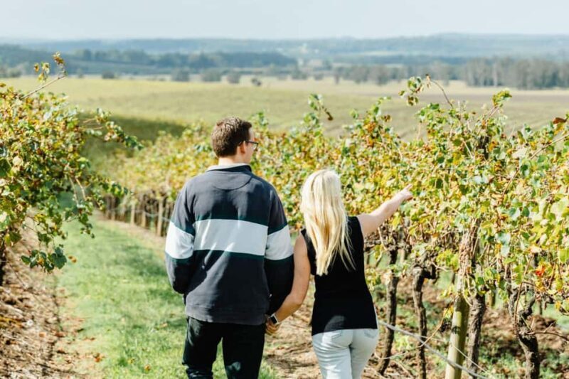 Private Hunter Valley Wine Tour Departing from Newcastle - Detailed Review: What You Can Expect on This Hunter Valley Tour