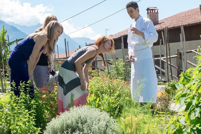Private Hunting Of Truffle And Mushrooms With Chef Luigi Gandola In Bellagio - Why This Tour Offers Great Value