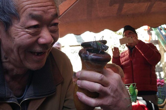 Private Hutong Culture Tour with Dumpling Cooking Class plus Cricket Fighting Game - Authentic Experiences That Bring Beijing to Life