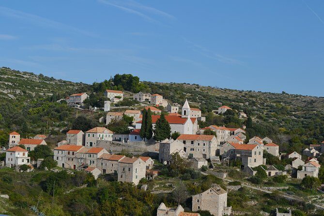 Private Hvar Island Tour and Olive Oil Tasting - Key Points