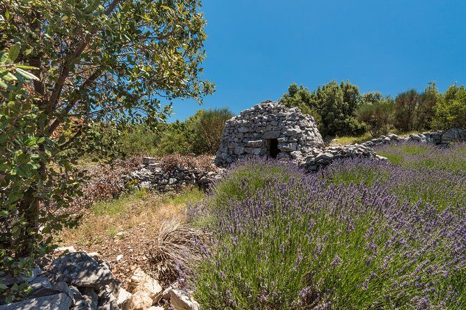 Private Hvar Island Tour and Olive Oil Tasting - Final Thoughts