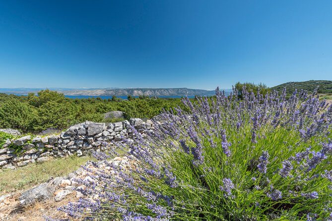 Private Hvar Wine Tasting Tour - Practical Tips for Maximizing Your Experience