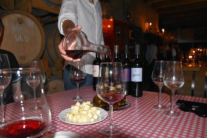 Private Hvar Wine Tasting Tour - Who Will Love This Tour?