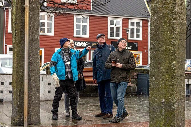 Private Icelandic Viking Age Walking Tour - Practical Details and Experience Insights