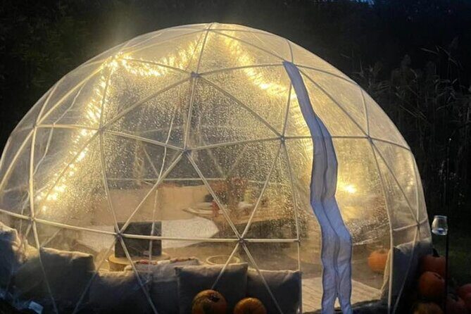 Private Igloo Picnic Experience Hungary - A Detailed Look at the Igloo Picnic Experience