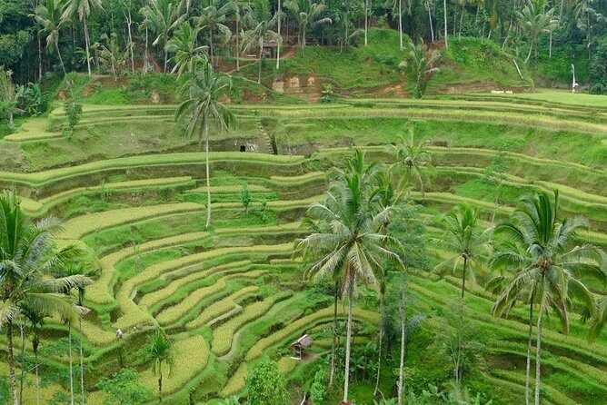 Private Inclusive Tours: 2 Days highlight of Bali - Authentic Experiences and Reviewer Insights