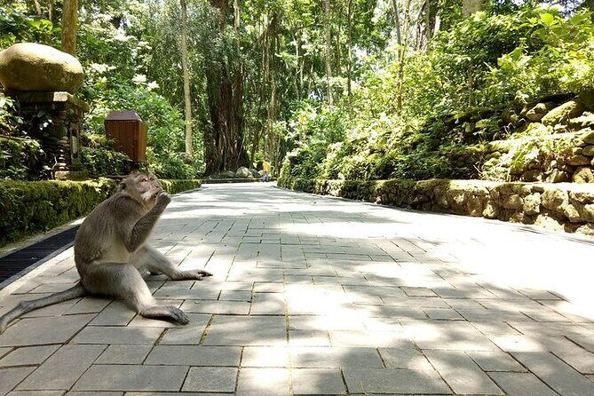 Private Inclusive Tours: 2 Days highlight of Bali - Final Thoughts: Is This Tour Right for You?