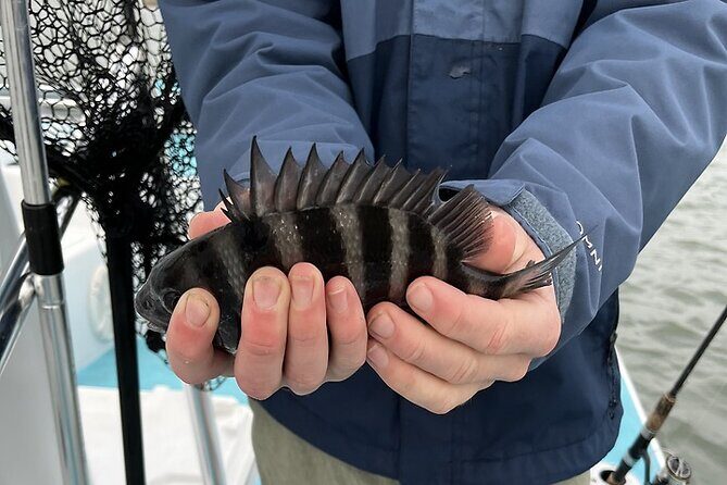 Private Inshore Fishing - Exploring the Details of the Private Inshore Fishing Tour