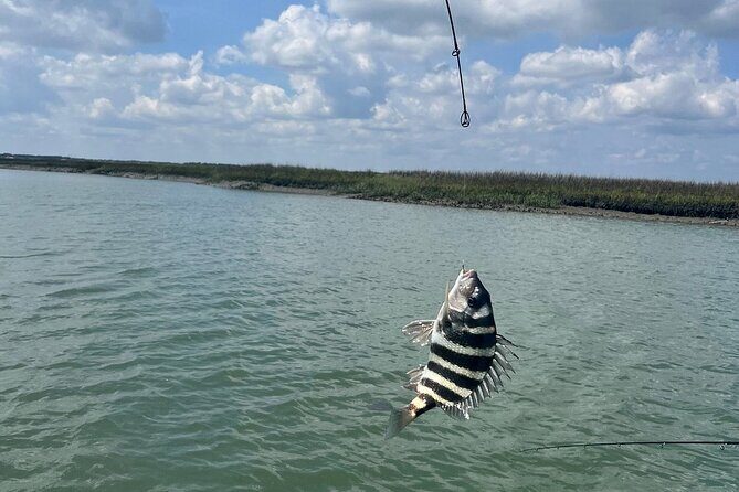 Private Inshore Fishing - A Practical Guide to Making the Most of Your Trip