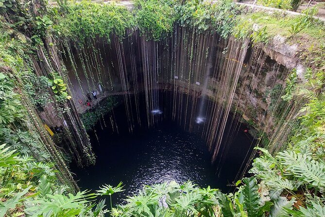 Private Instagram Cenotes Tour with Professional Photography - What to Expect from the Experience